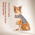 Pet Calming Anxiety Relief Shirt for Dogs & Cats