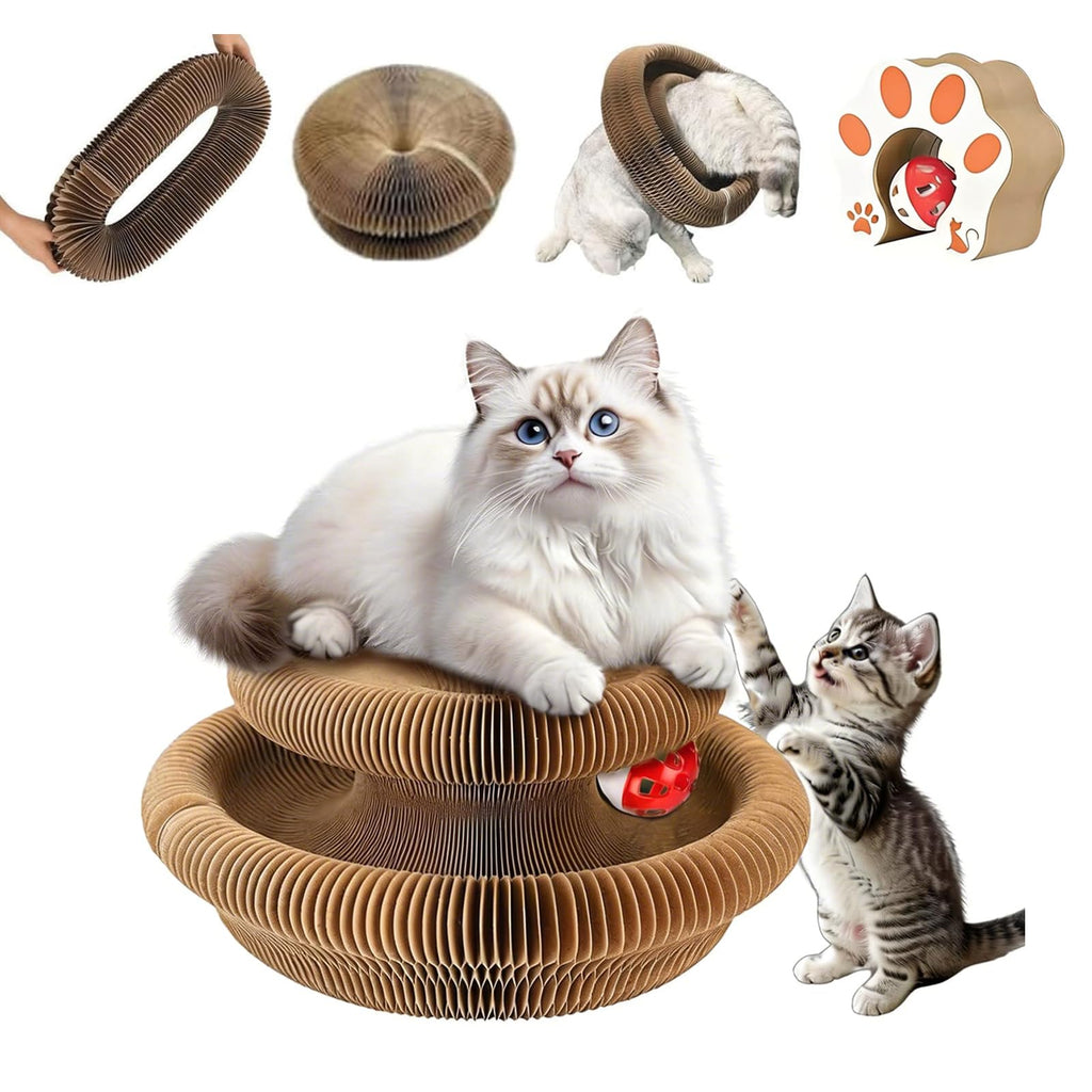 Magic Organ Cat Scratching Board & Toy