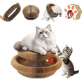 Magic Organ Cat Scratching Board & Toy