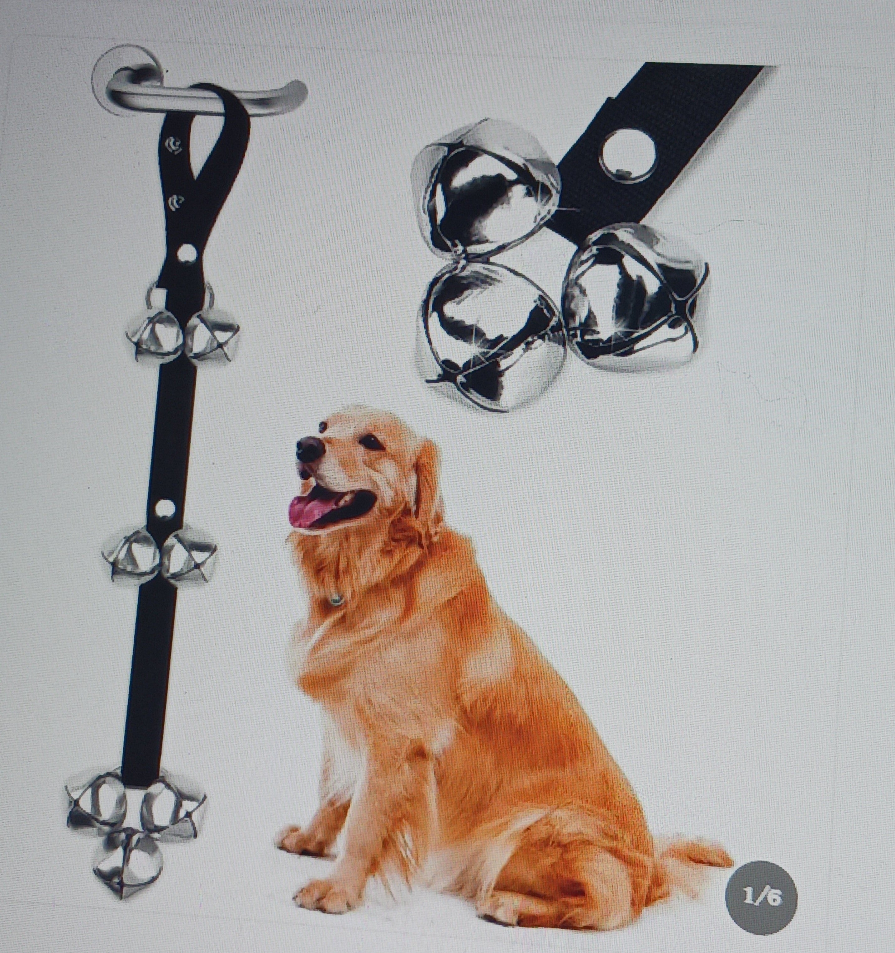 Dog Potty Training Bell