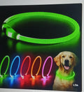 LED Safety Collar — Light Up Every Walk