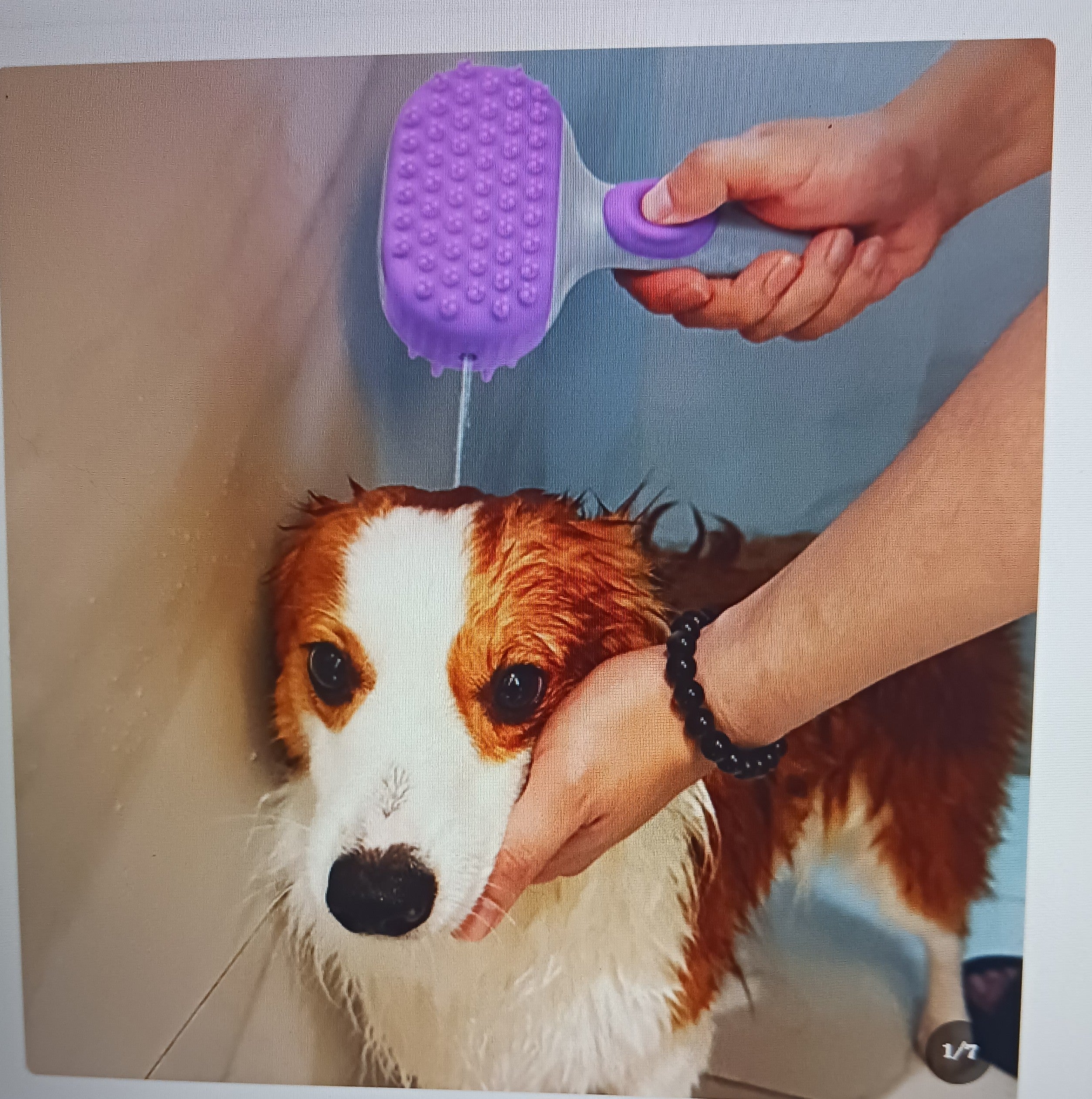 Silicone Pet Bath Brush