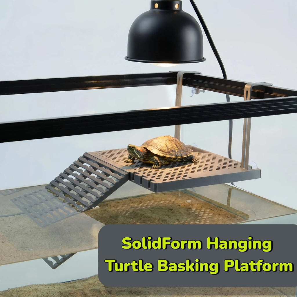 Hanging Turtle Basking Platform with Feeding Tray