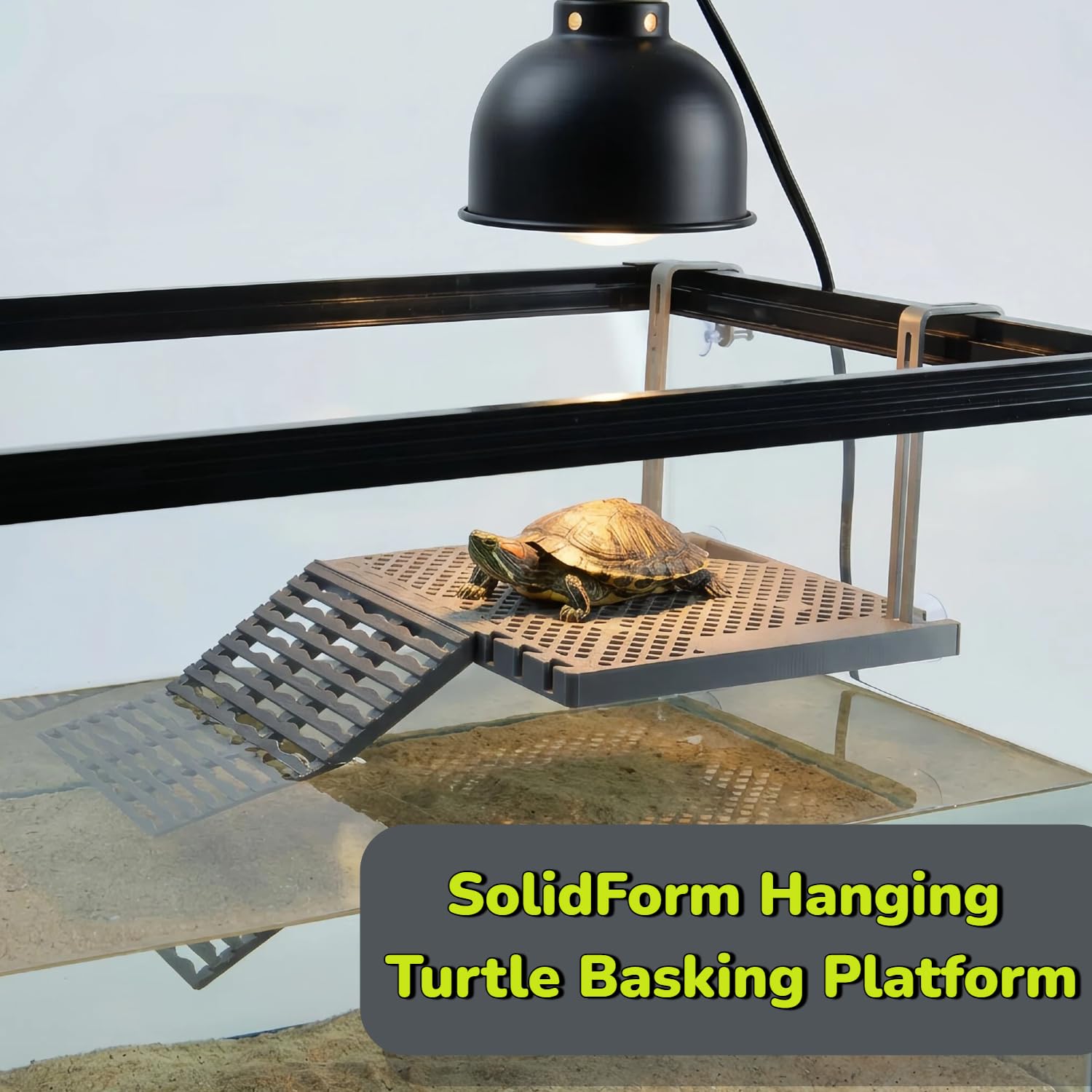 Hanging Turtle Basking Platform with Feeding Tray