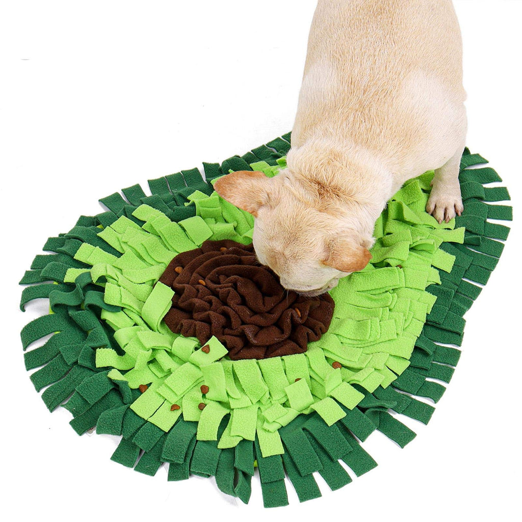 Interactive Snuffle Mat — Slow Feeder & Brain Game