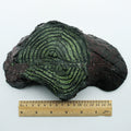 Resin Tree Stump Turtle Climbing Platform