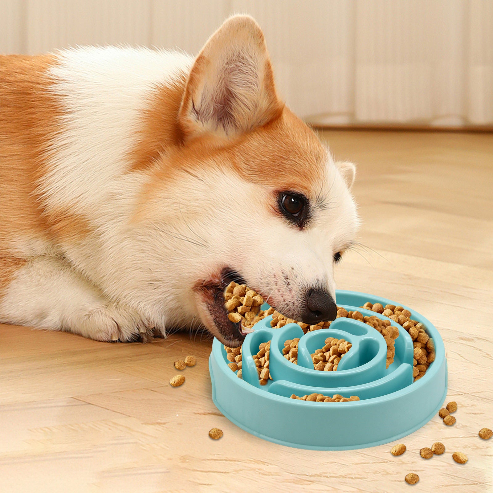 Slow Feeder Bowl