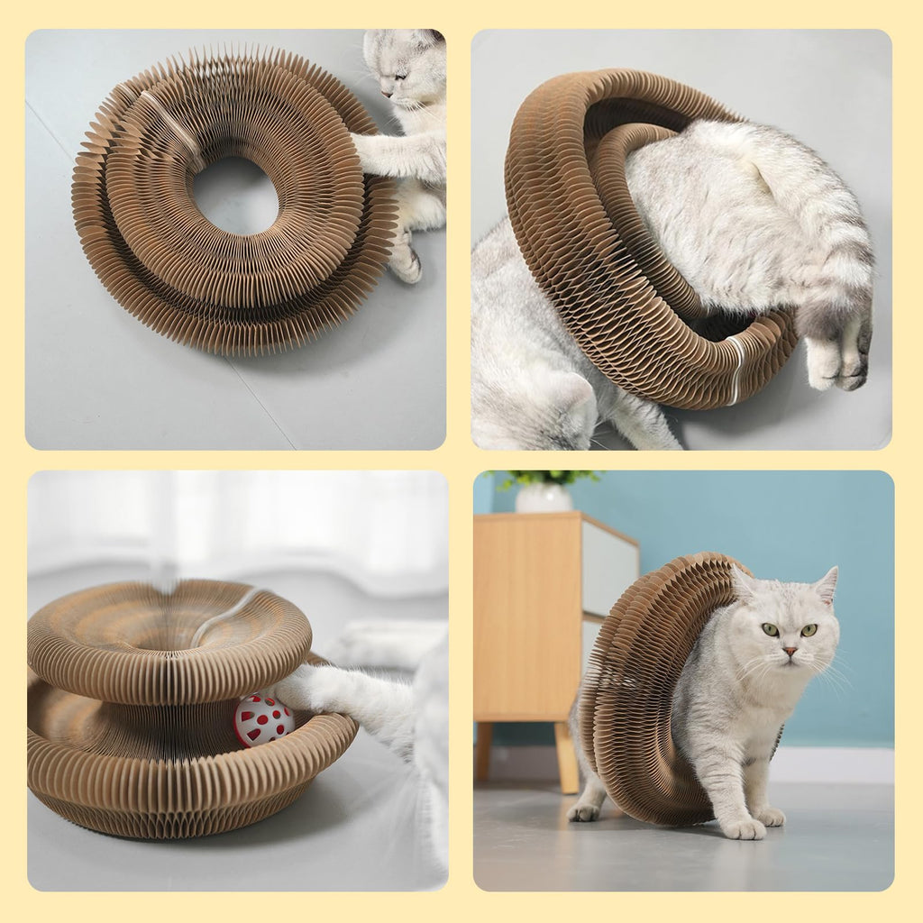 Magic Organ Cat Scratching Board & Toy