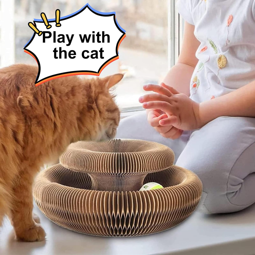 Magic Organ Cat Scratching Board & Toy